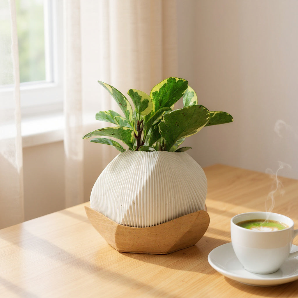Haven | Geometric Ribbed Planter – Cornstarch PLA & Recycled Wood Fibre