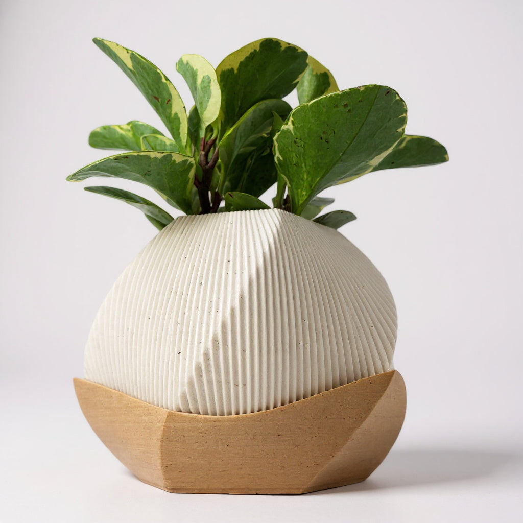 Haven | Geometric Ribbed Planter – Cornstarch PLA & Recycled Wood Fibre